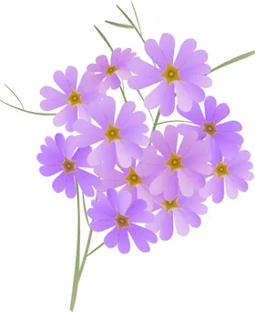 写实花卉鲜朵唯美彩色