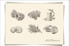 6款入食物手绘稿