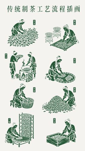 中国传统制茶工艺流程插画