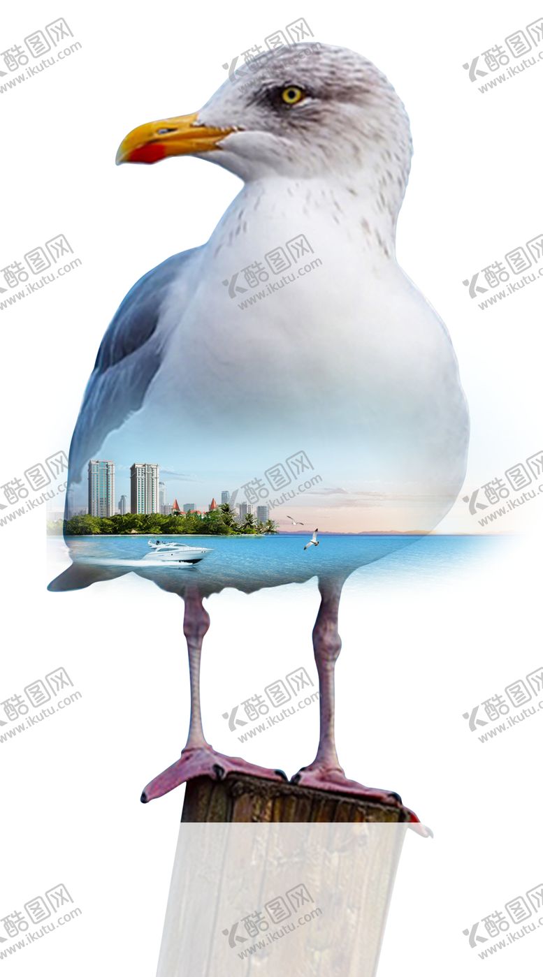 编号：50886210242336584771【酷图网】源文件下载-海鸥海岸房地产背景