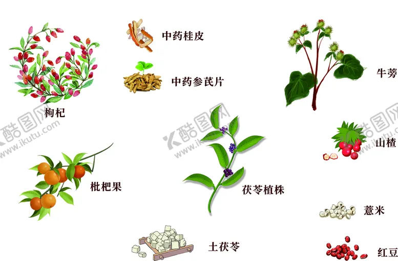编号：72384909201834453058【酷图网】源文件下载-中药素材