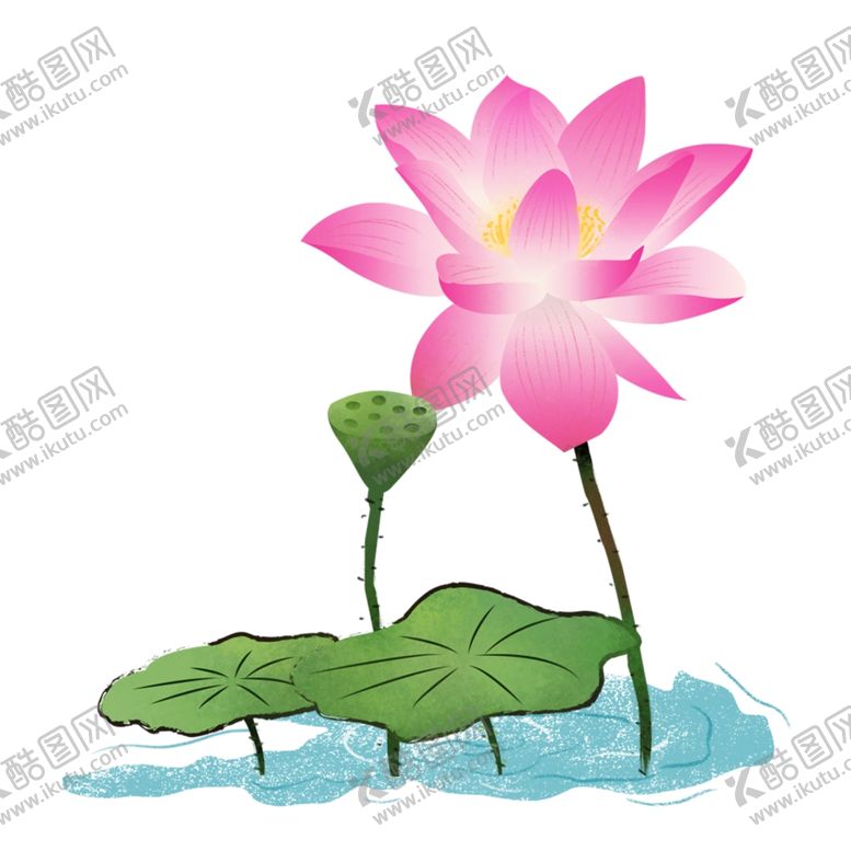 编号：56387701260244535118【酷图网】源文件下载-荷花素材