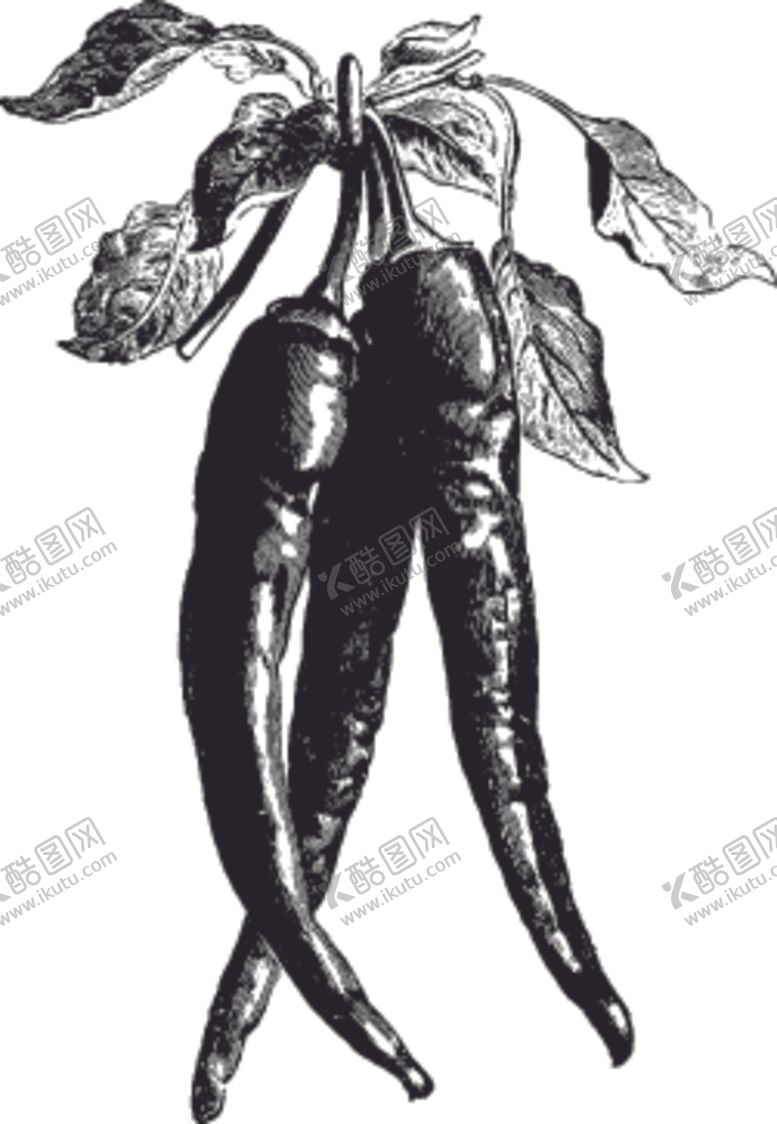 编号：55557109250748404216【酷图网】源文件下载-素描手绘蔬菜