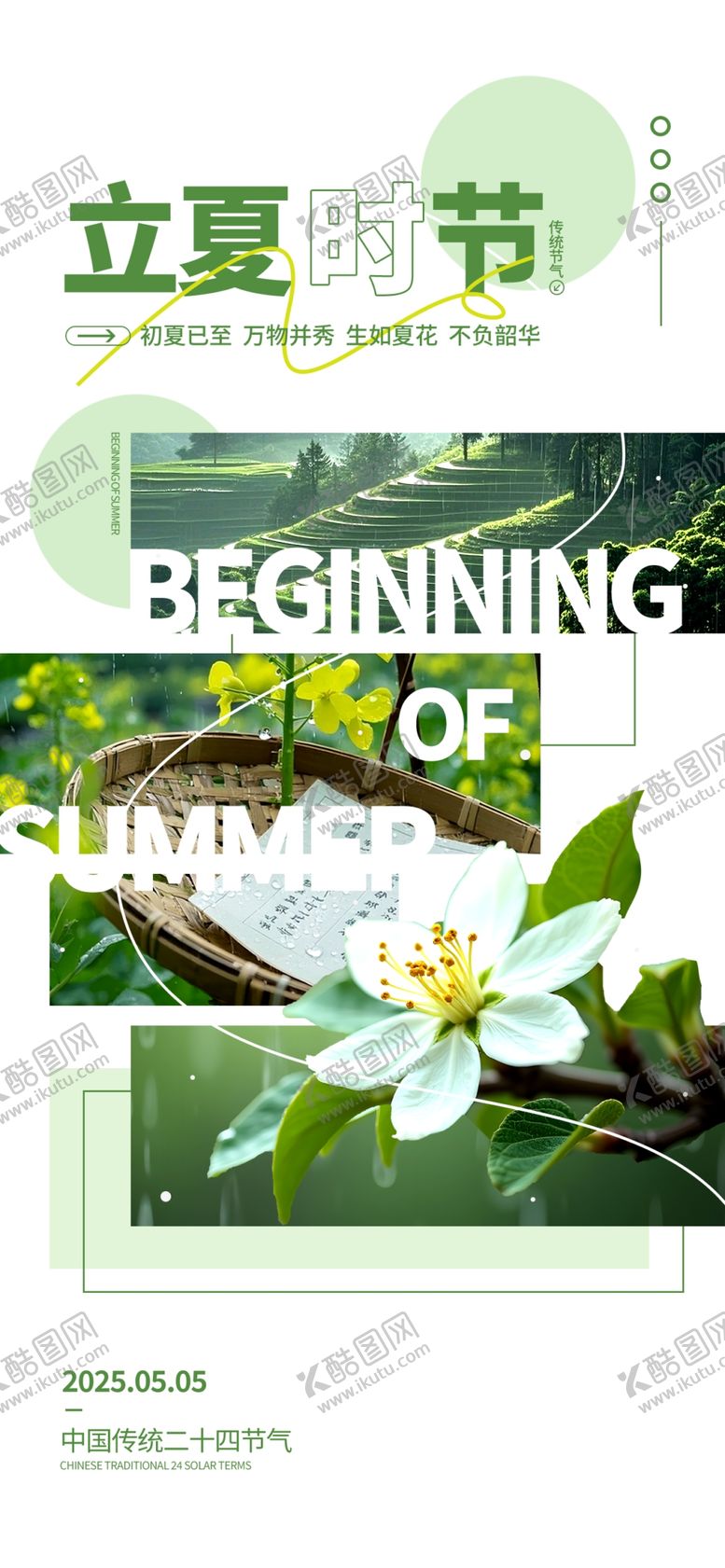 编号：86260912200122101029【酷图网】源文件下载-立夏时节绽放的白色花朵