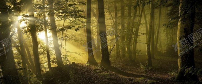 编号：61427207010414449540【酷图网】源文件下载-森林