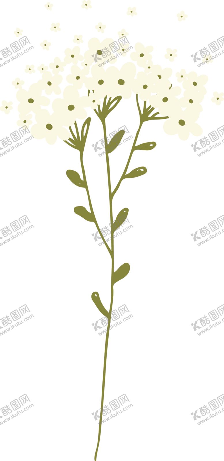 编号：93495606271540076166【酷图网】源文件下载-手绘植物