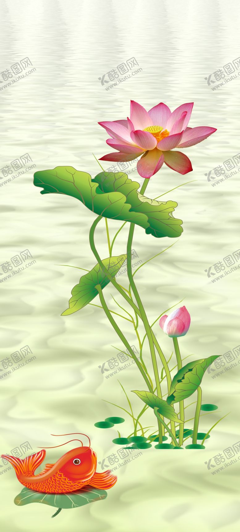 编号：64512109190202043909【酷图网】源文件下载-出水芙蓉