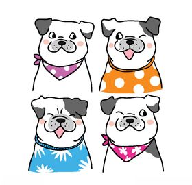 狗狗