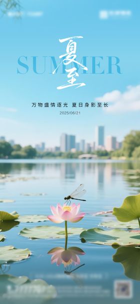 夏至海报