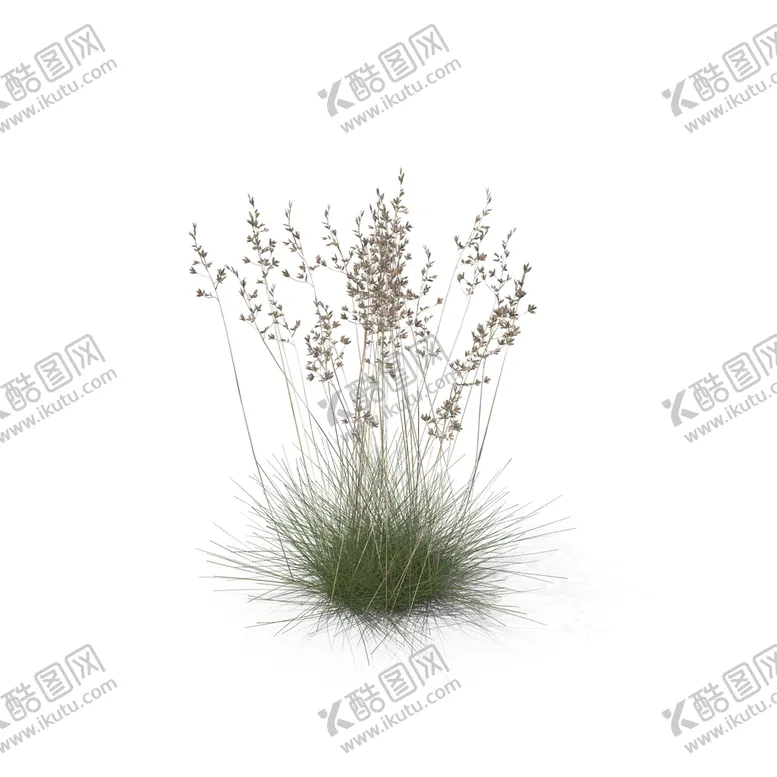 编号：28405709152247526307【酷图网】源文件下载-花草绿植婚礼花艺