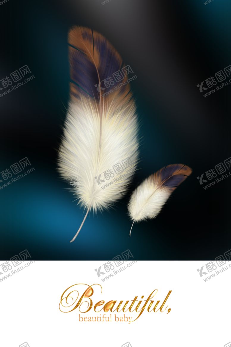 编号：86818909230316005926【酷图网】源文件下载-羽毛装饰画