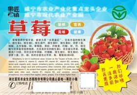 草莓果酱背景矢量素材
