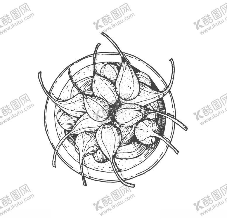 编号：48724010302034447494【酷图网】源文件下载-食物