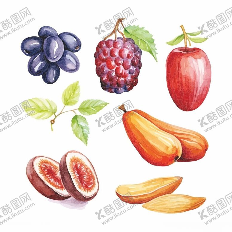 编号：69413101260743452024【酷图网】源文件下载-矢量水果