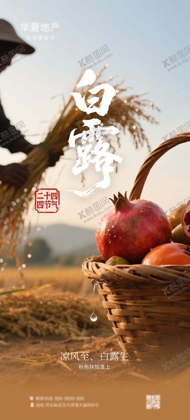 编号：13274708302228199338【酷图网】源文件下载-白露节气海报