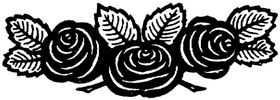 花纹边框