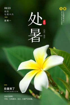 处暑海报二十四节气节气