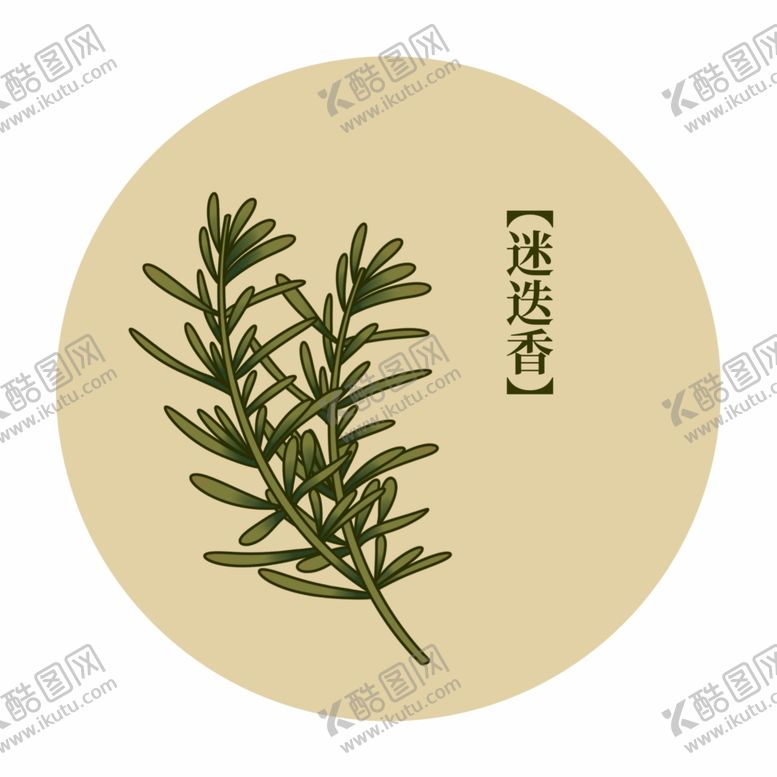 编号：53272012090545161390【酷图网】源文件下载-药材迷迭香