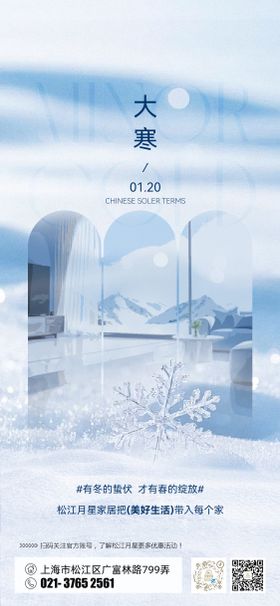 家居大寒海报