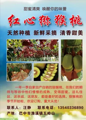 红心猕猴桃轿厢广告