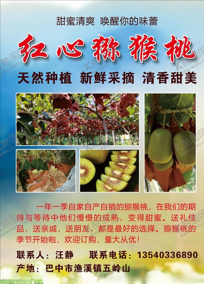 编号：65869109251621136844【酷图网】源文件下载-红心猕猴桃