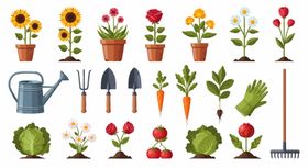 园艺工具与花朵