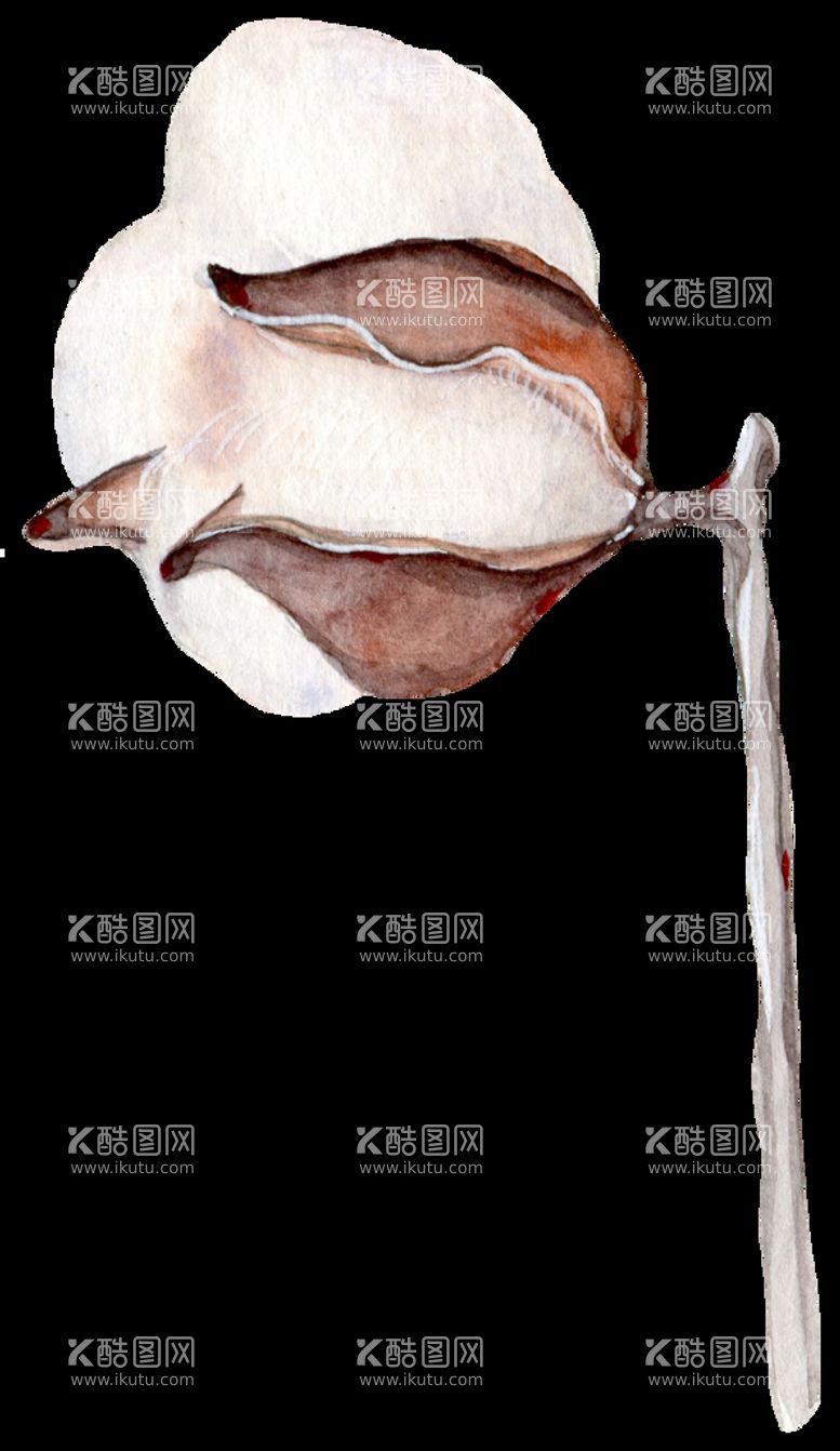 编号：64657211021517065825【酷图网】源文件下载-水彩棉花