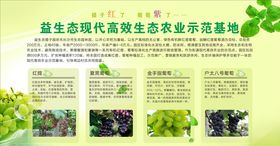 生态果园宣传展板KT板