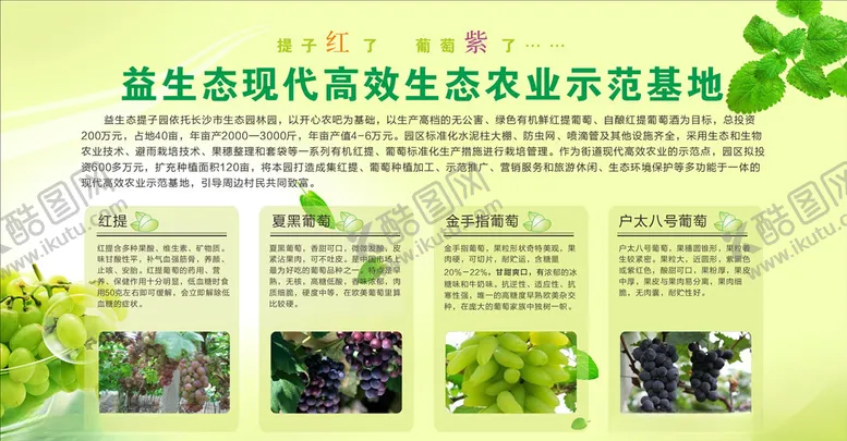 编号：67642406260900343471【酷图网】源文件下载-生态果园宣传展板KT板