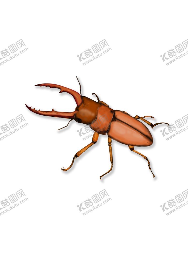编号：87106410312110356683【酷图网】源文件下载-昆虫插画