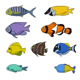 海洋生物底世界插图底动