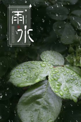 雨水