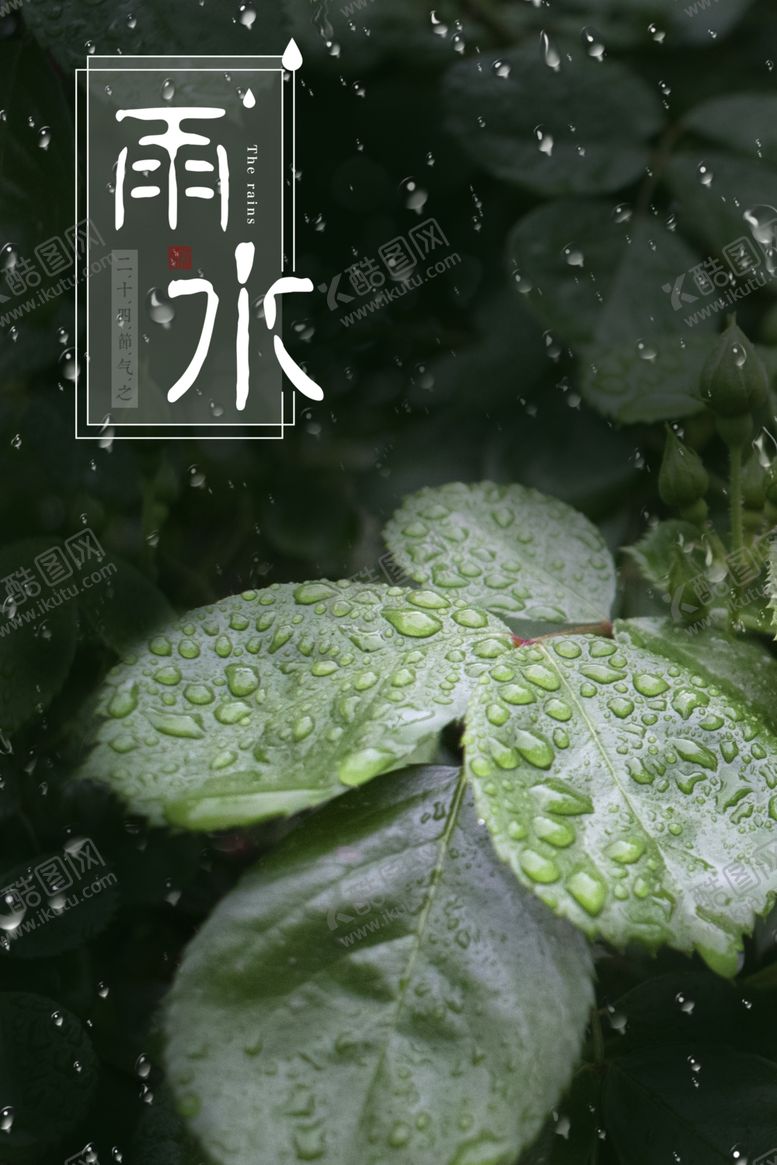 编号：65144310180359075382【酷图网】源文件下载-雨水