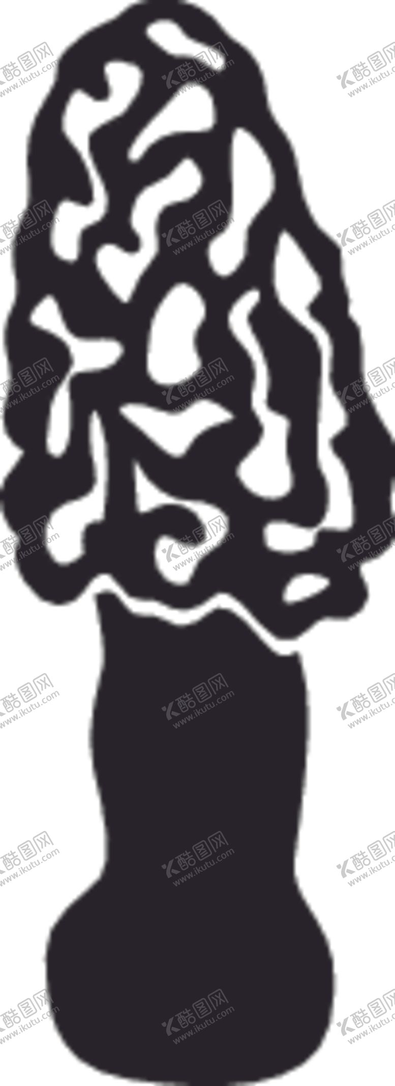 编号：74192410112315556425【酷图网】源文件下载-大型真菌系列蘑菇