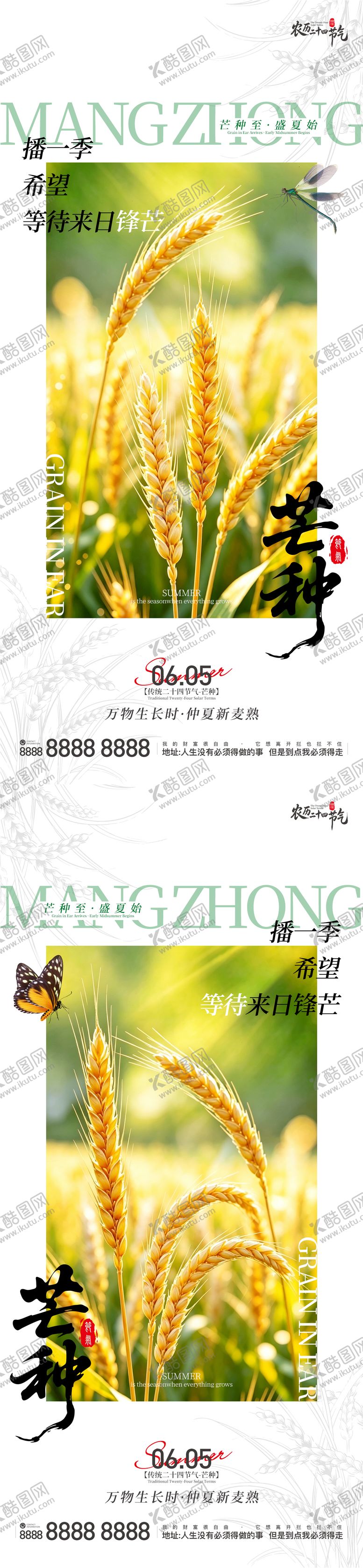 编号：19255905240213505827【酷图网】源文件下载-芒种海报