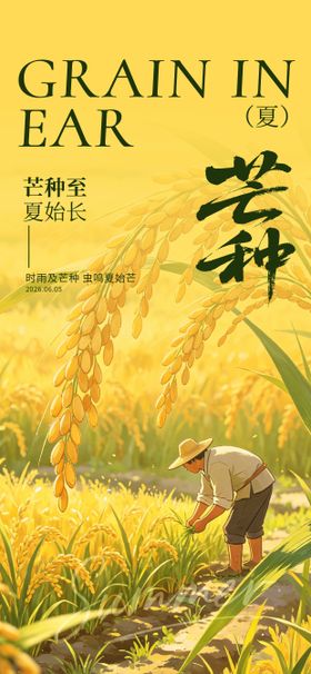 芒种节气海报