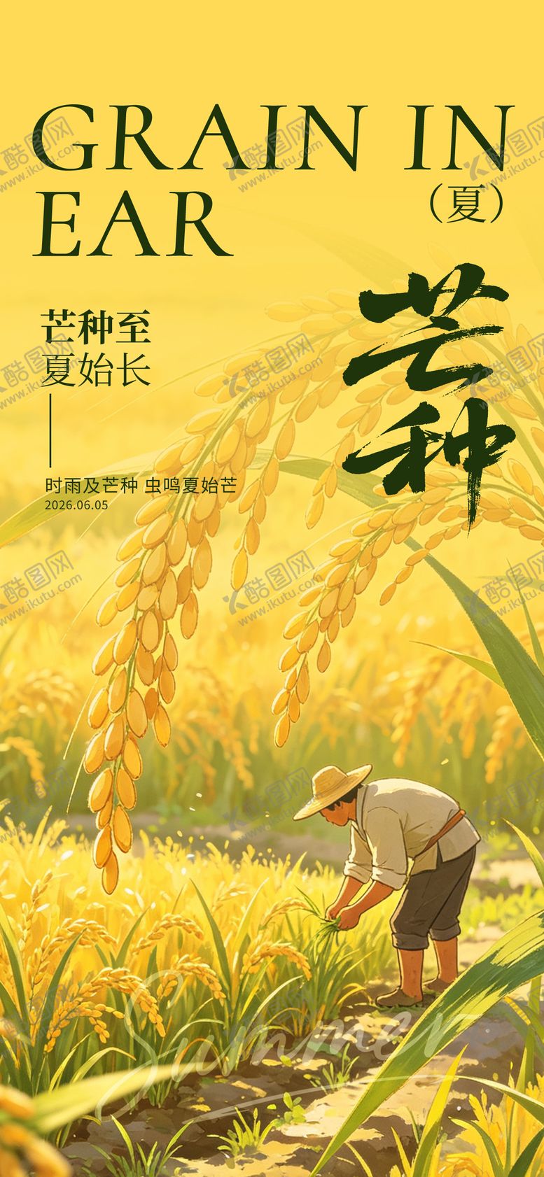 编号：13926305312335368425【酷图网】源文件下载-芒种节气海报
