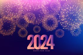 2024年