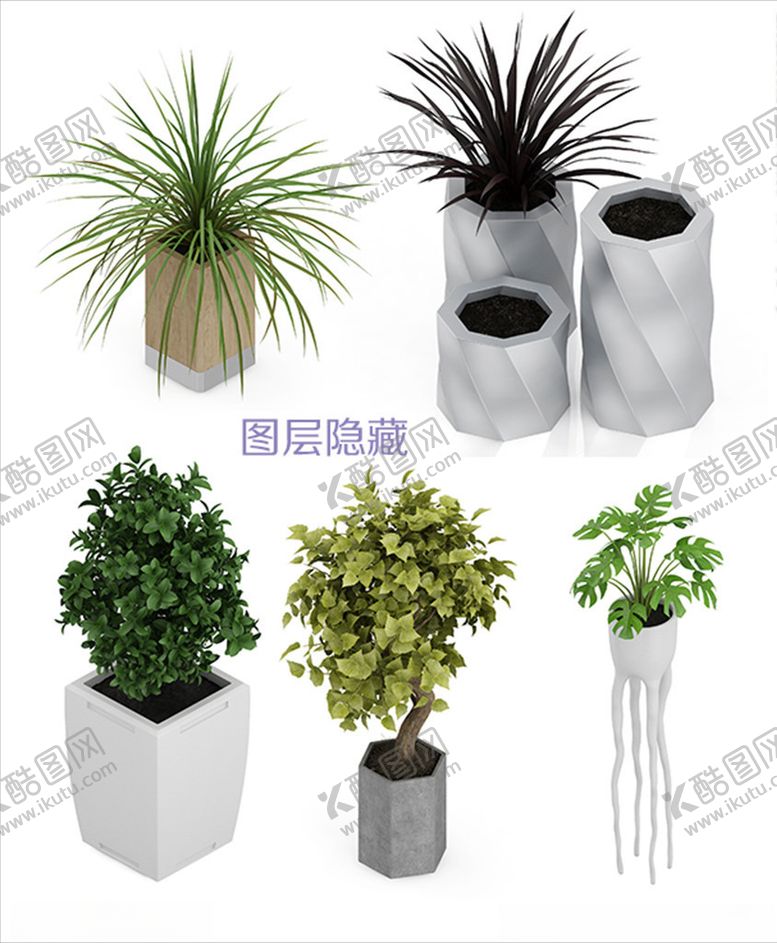 编号：18451007061609471668【酷图网】源文件下载-家居植物
