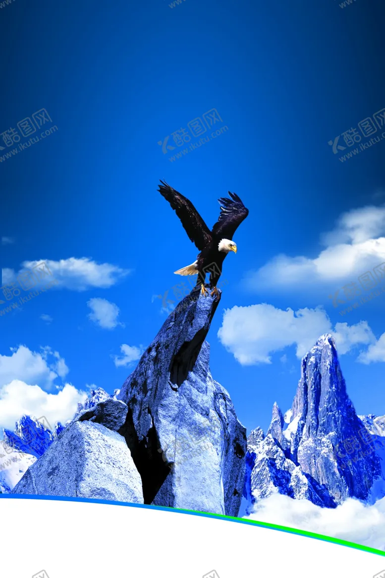 编号：24159806282238192290【酷图网】源文件下载-雄鹰