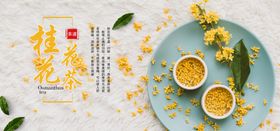 桂花花茶插画手绘图
