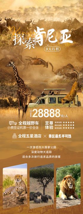 非洲肯尼亚旅游海报设计