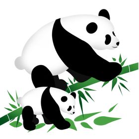 熊猫妈妈和熊猫宝宝PSD