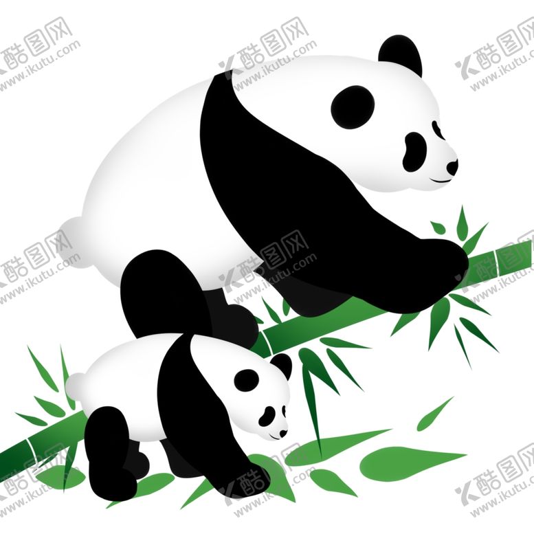 编号：66951007091413345851【酷图网】源文件下载-熊猫妈妈和熊猫宝宝