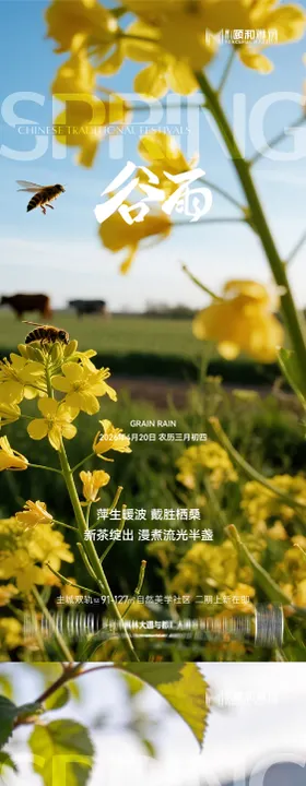 谷雨节气节日海报