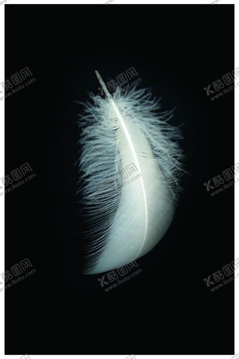 编号：68847309291121465065【酷图网】源文件下载-背景墙装饰画