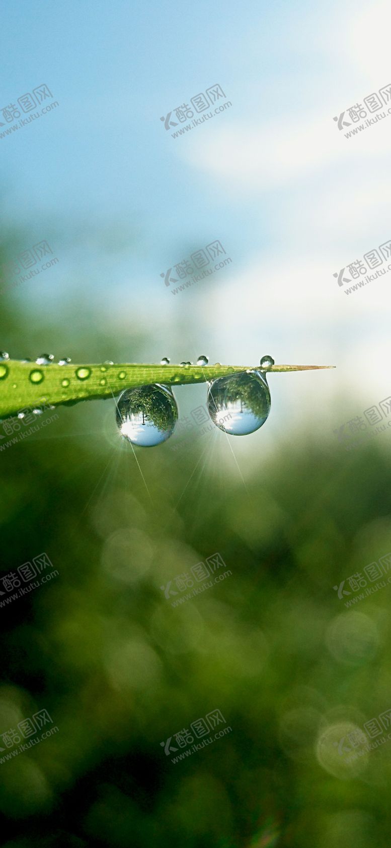 编号：49984709251743119068【酷图网】源文件下载-手机壁纸