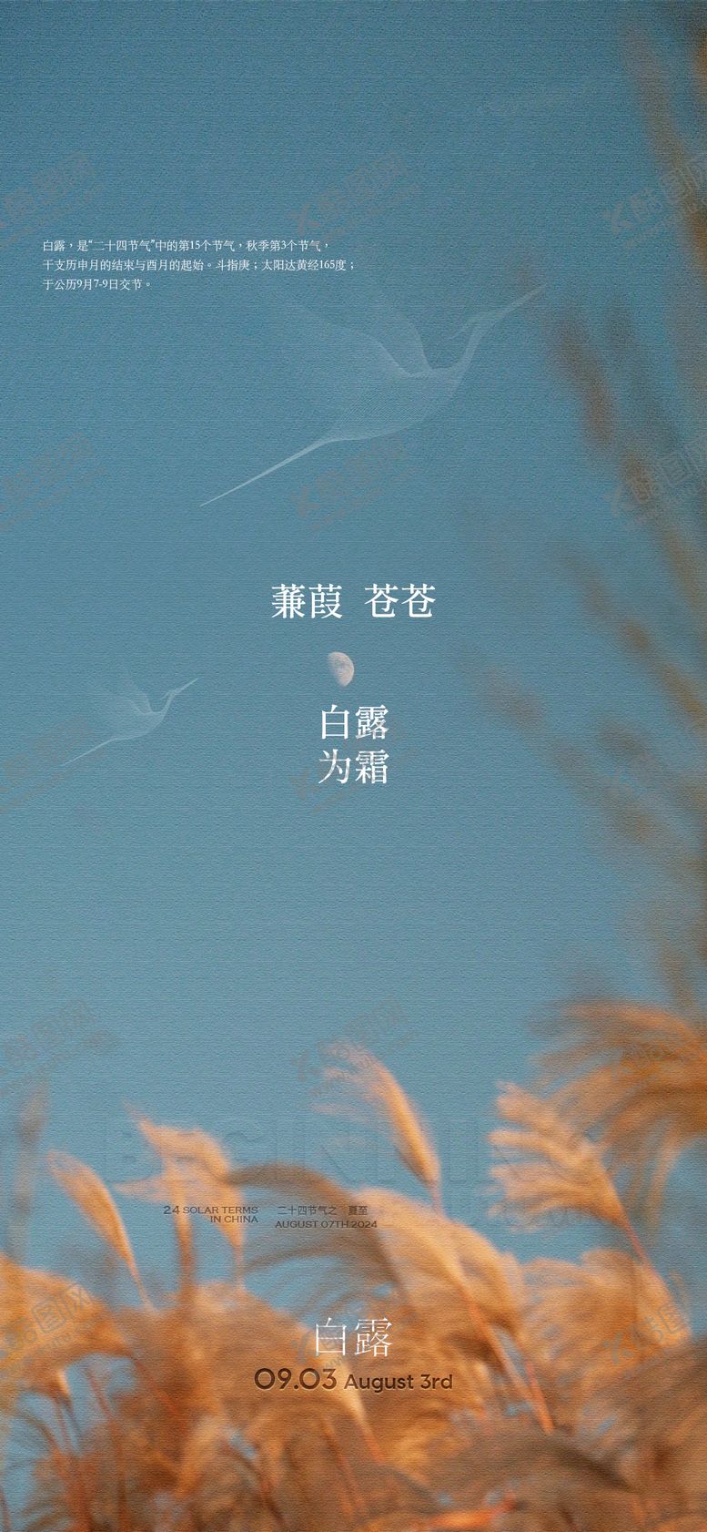 编号：30118209061327217506【酷图网】源文件下载-白露节气海报