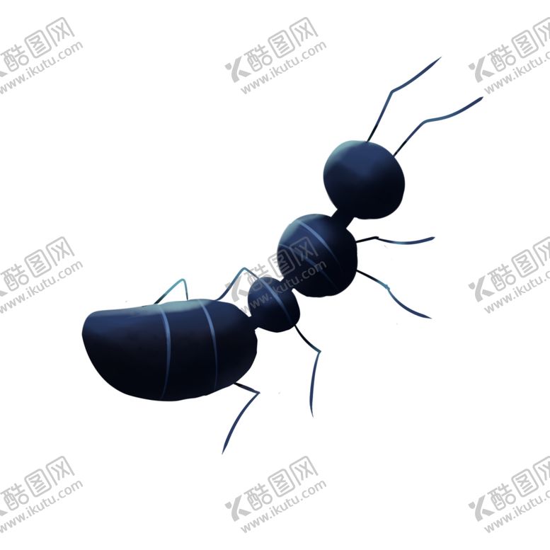 编号：97519209271102574529【酷图网】源文件下载-手绘蚂蚁素材