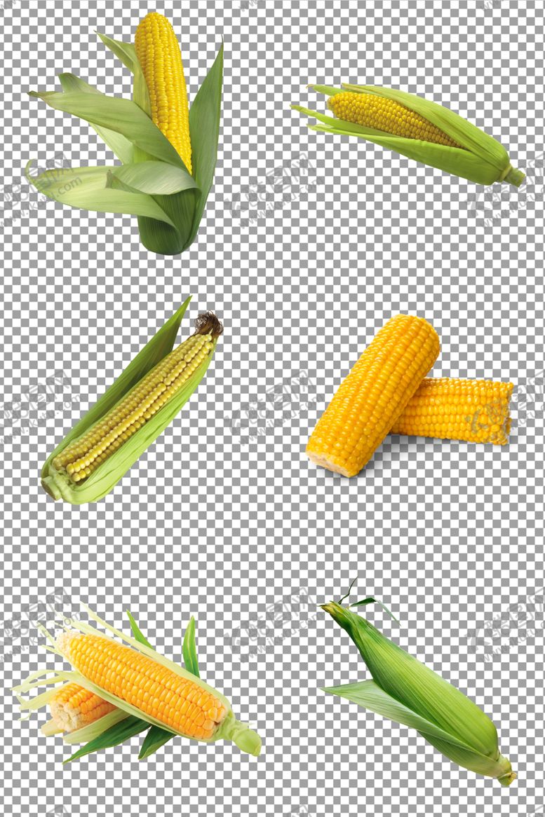 编号：42069810091958102648【酷图网】源文件下载-玉米